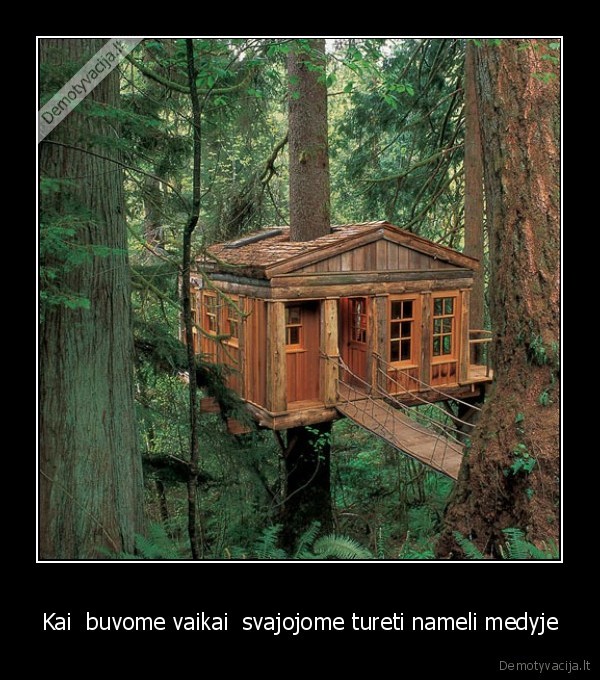 Kai  buvome vaikai  svajojome tureti nameli medyje