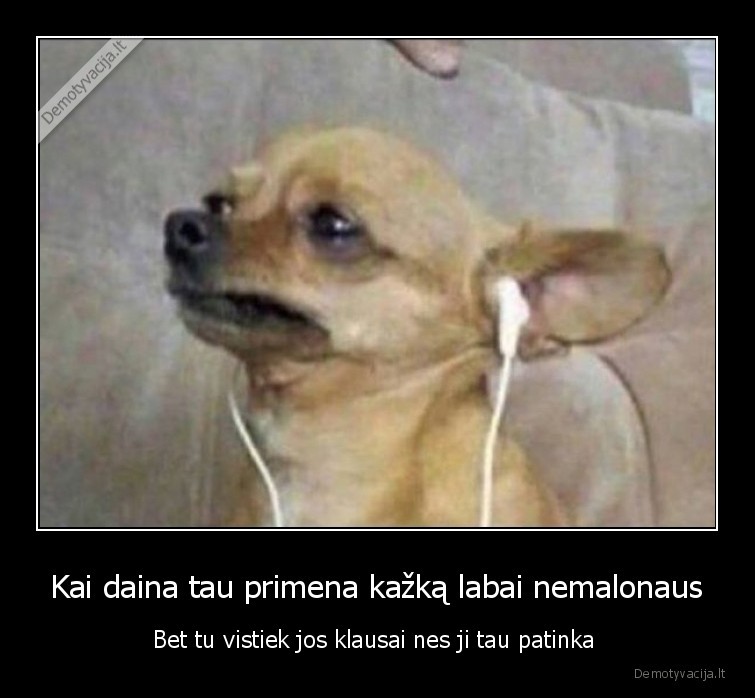 suo,muzika,ausines