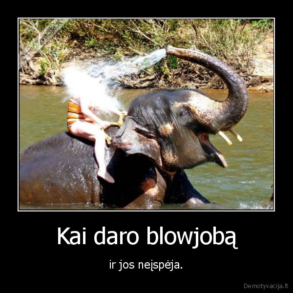 dramblys,blowjobas