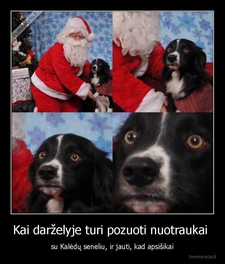 darzelis,apsisiko,vaikas,suo,ups