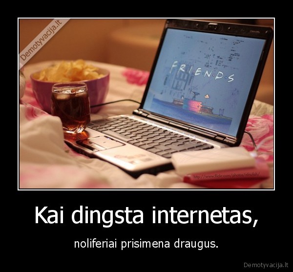 noliferiai