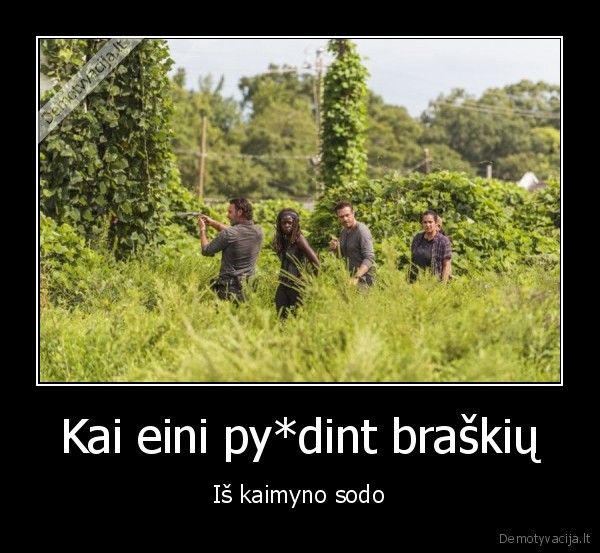 braskiu, vagys,walking, dead