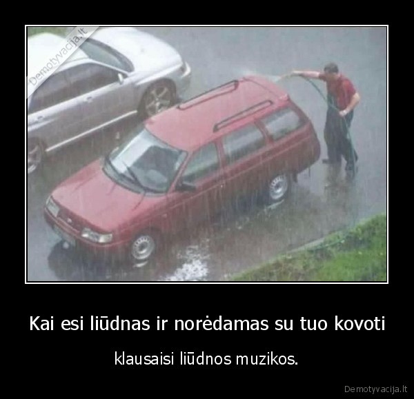 liudnas,liudesys,masina,lietus