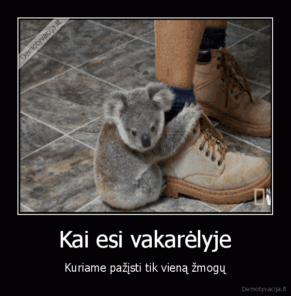 vakarelis,tusas