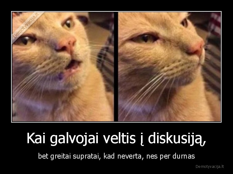 katinas,diskusija,durnas