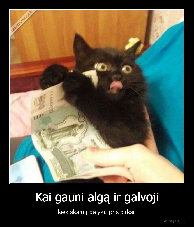 kate,katinas,alga