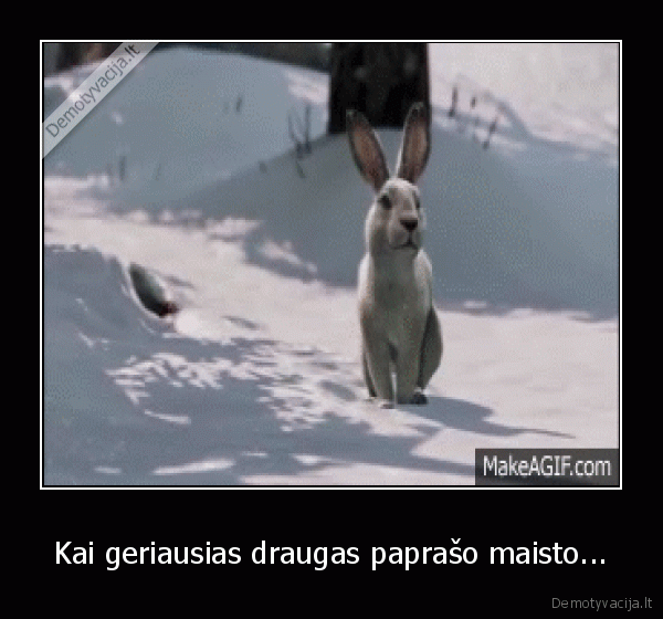 fatality, games, bunny, buddy, ai