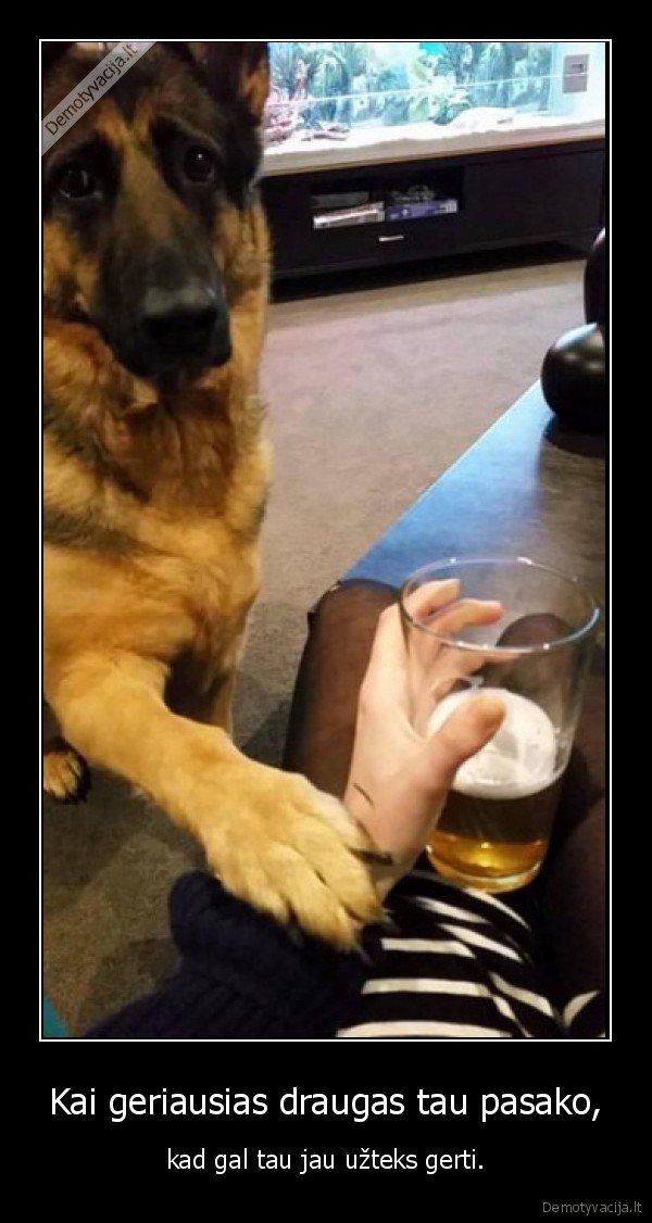 suo,geriausias, draugas,alkoholis,gerimas