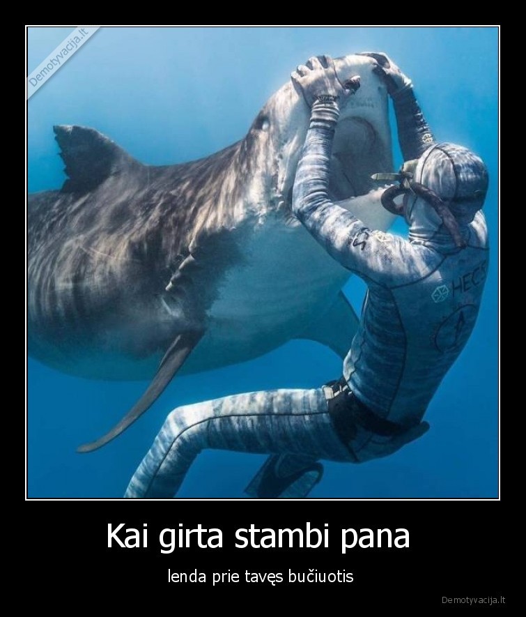 ryklys,girta,pana