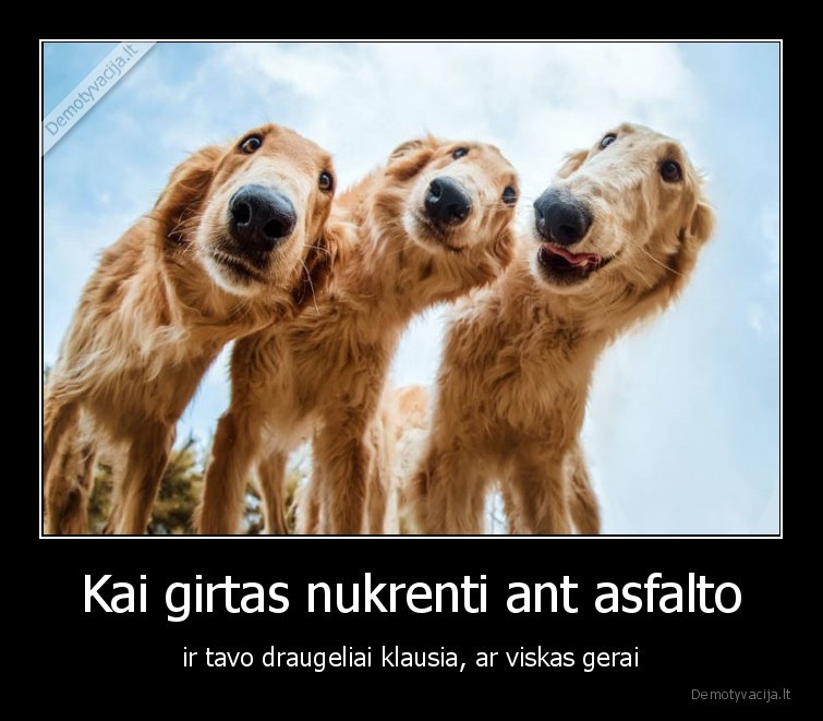 sunys,draugai,alkoholis