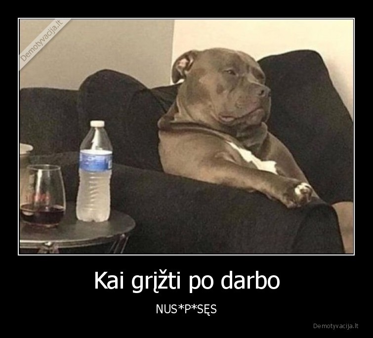 gyvunai,suo,darbas,pavarges
