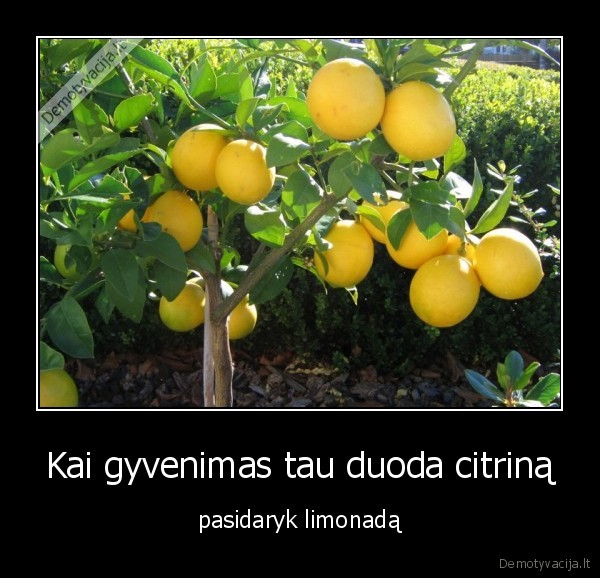 Kai gyvenimas tau duoda citriną