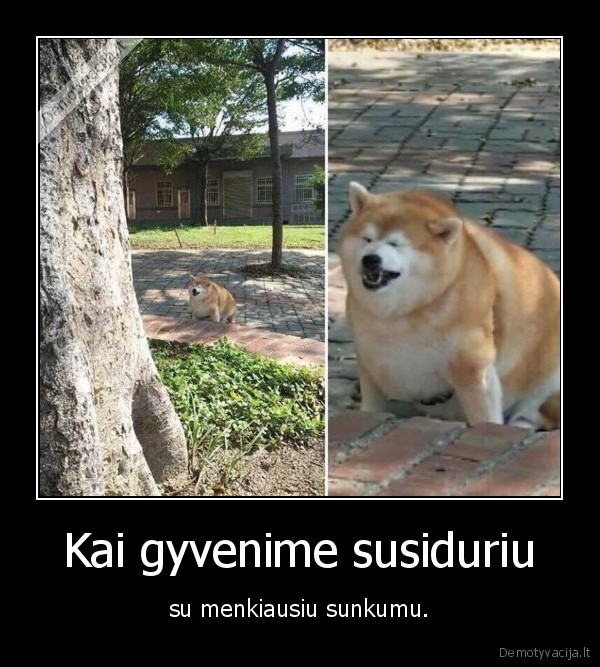 suo,sunkumas,gyvenimas