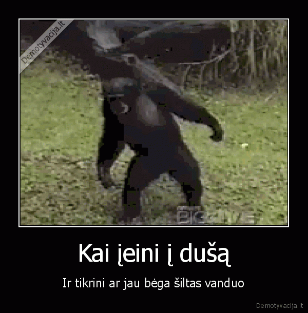 siltas, vanduo,bezdzione,prausimasis