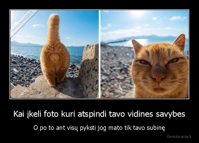 Kai įkeli foto kuri atspindi tavo vidines savybes
