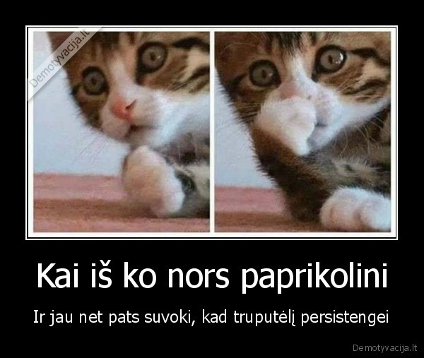 prikolai,issigando