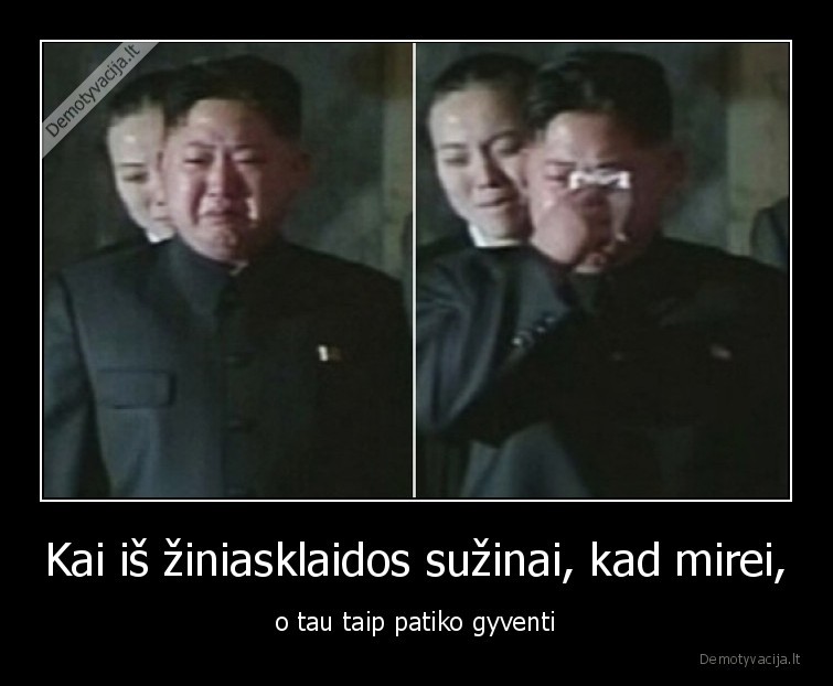 mire,nemire,kim,koreja