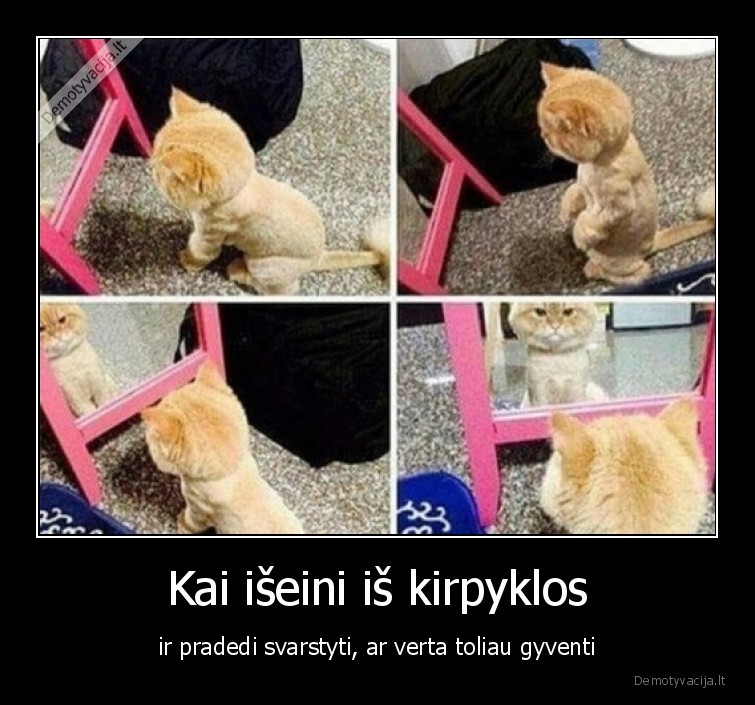 kirpykla,sukuosena,ar,verta,gyventi