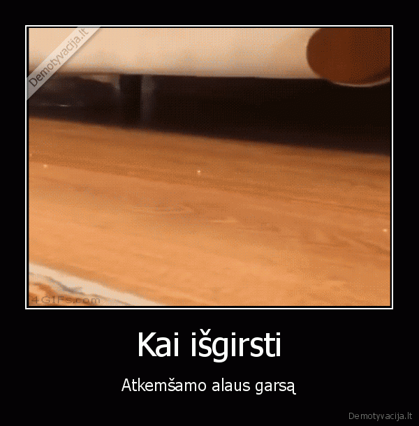 katinas,nori, alaus