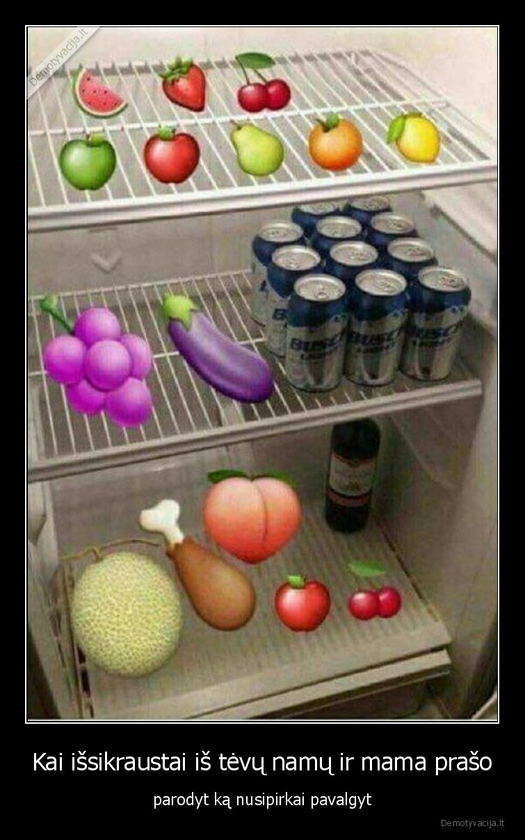 maistas,alus