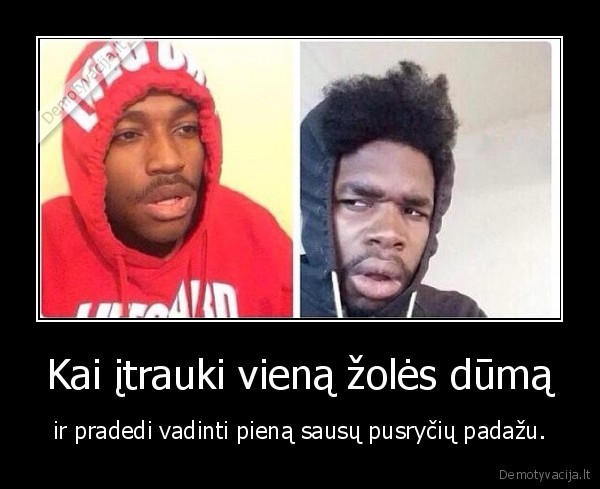 zole,dumas,pienas,padazas