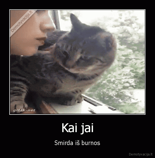 blogas, burnos, kvapas,smirda, is, burnos