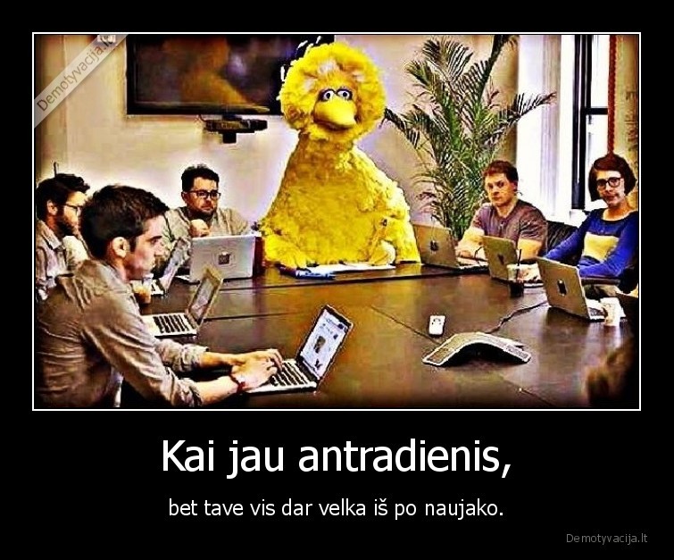 antradienis,naujakas,alkoholis