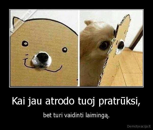 suo,laime,vaidyba
