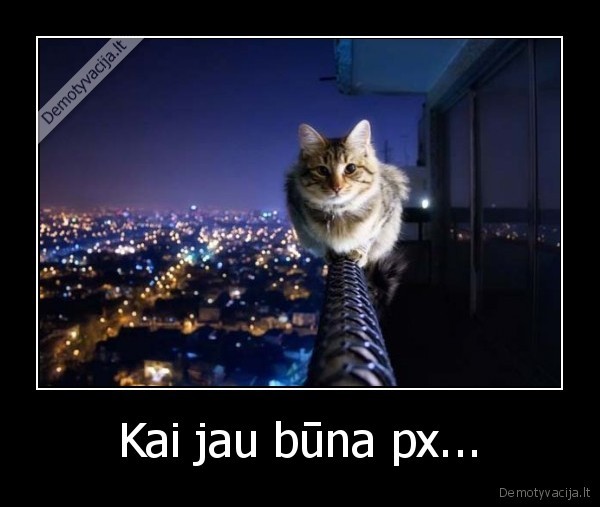 Kai jau būna px...
