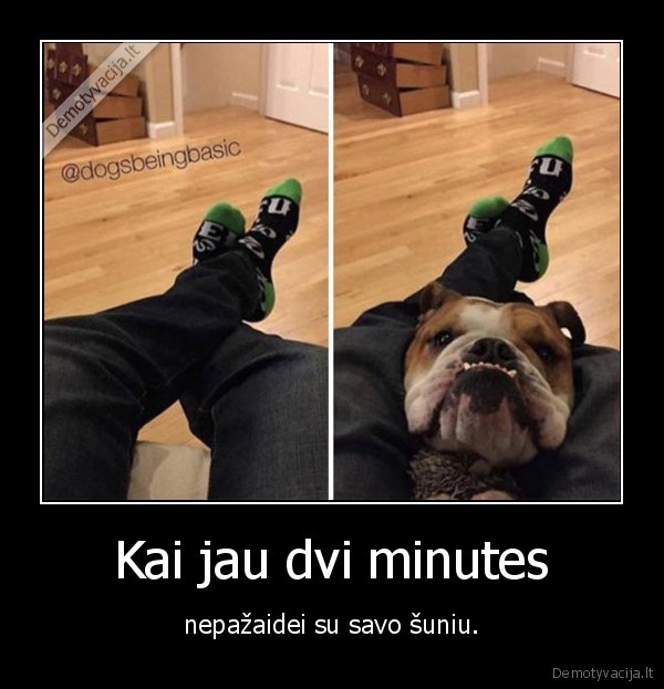 suo,piktas,zaidimas