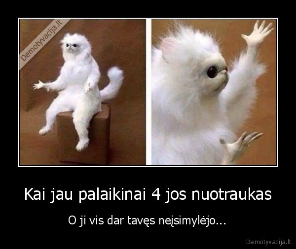 meile,like
