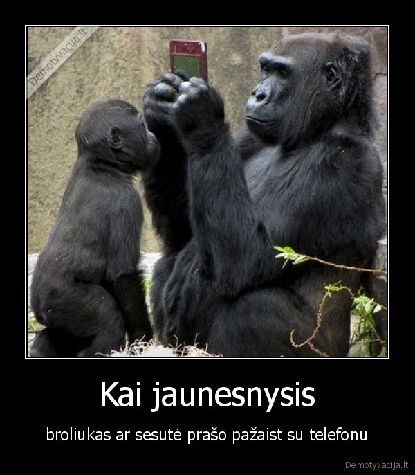 Kai jaunesnysis