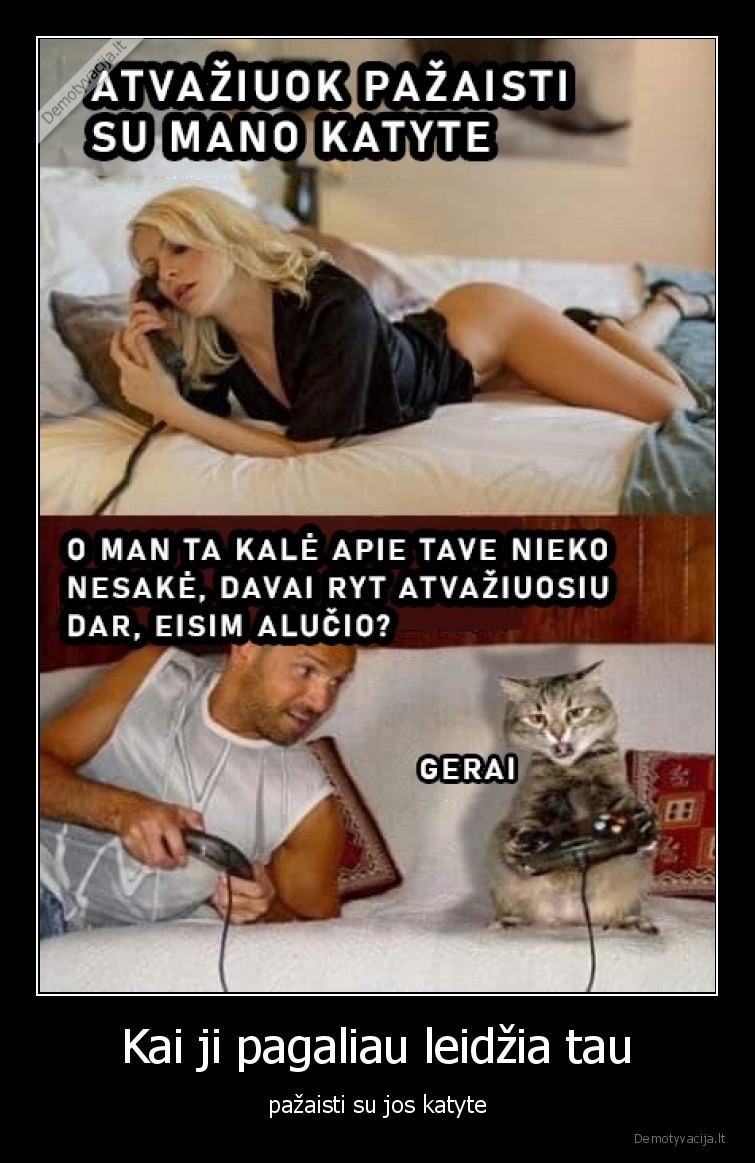 katyte,meile,mergina,kate