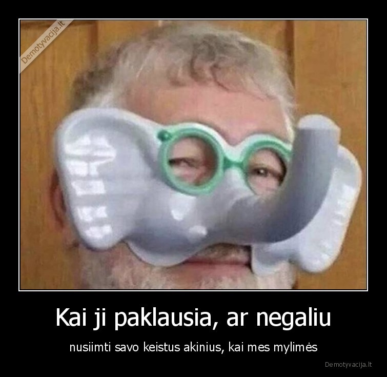 akiniai,dramblys,seksas,n18