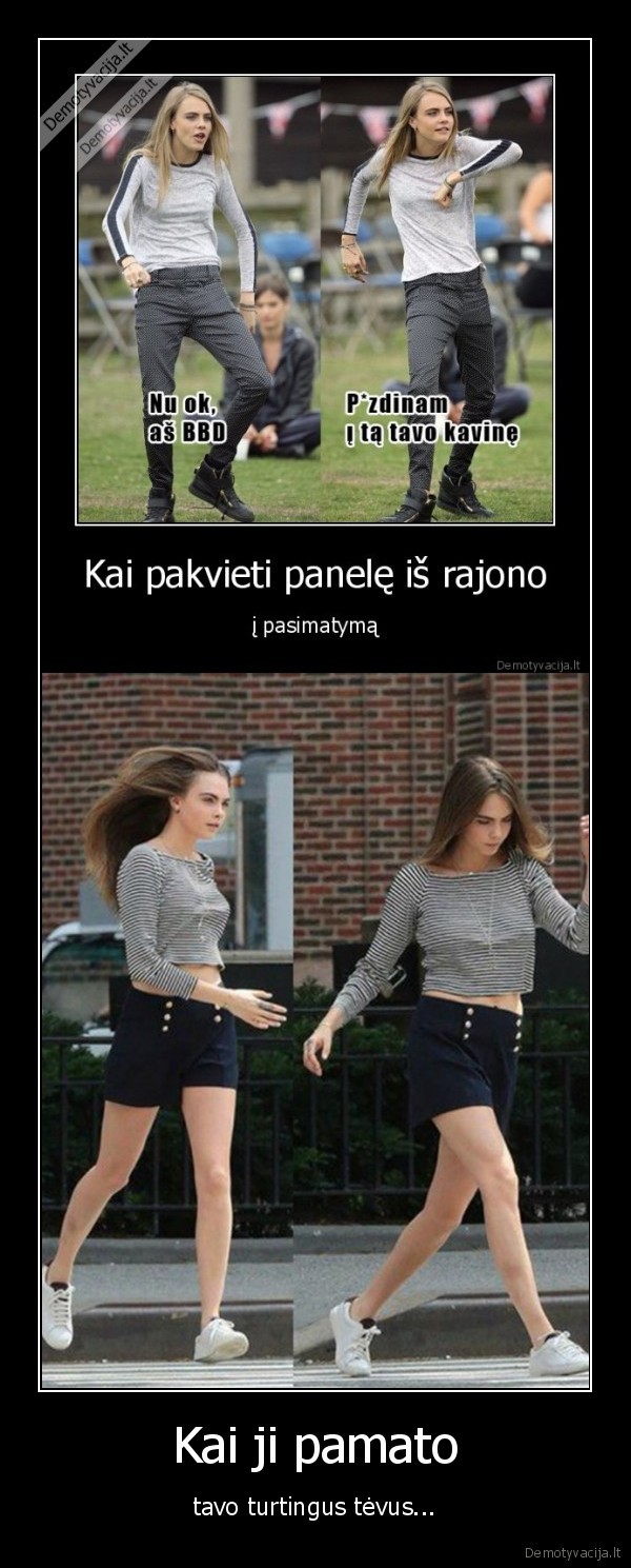 panele,rajonas