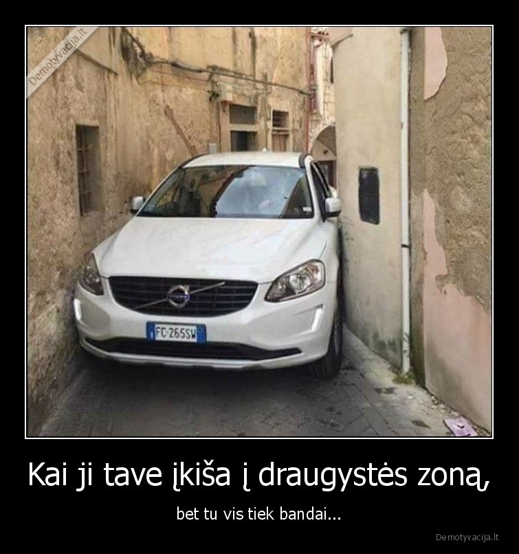 draugystes, zona,mergina,masina