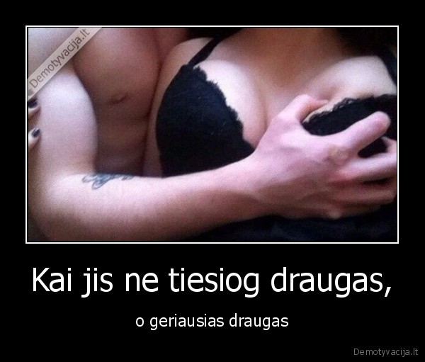 draugas,paneles