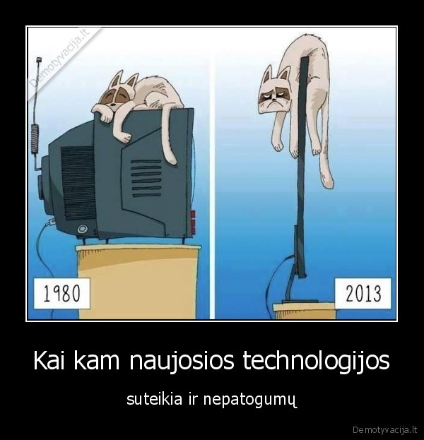 katinams, su, subinem, telikai, labiau, patinka, negu, ploni