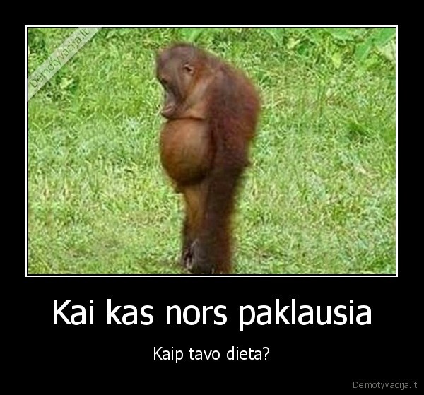 dieta,pilvukas,liudna, bezdzione