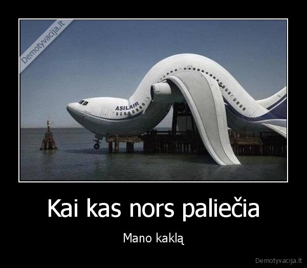 kaklas,lektuvas