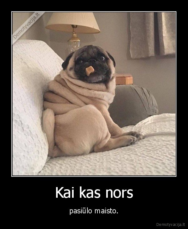 maistas,suo