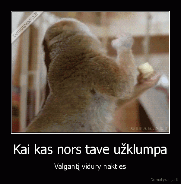 valgymas, nakti,juokingas, gif