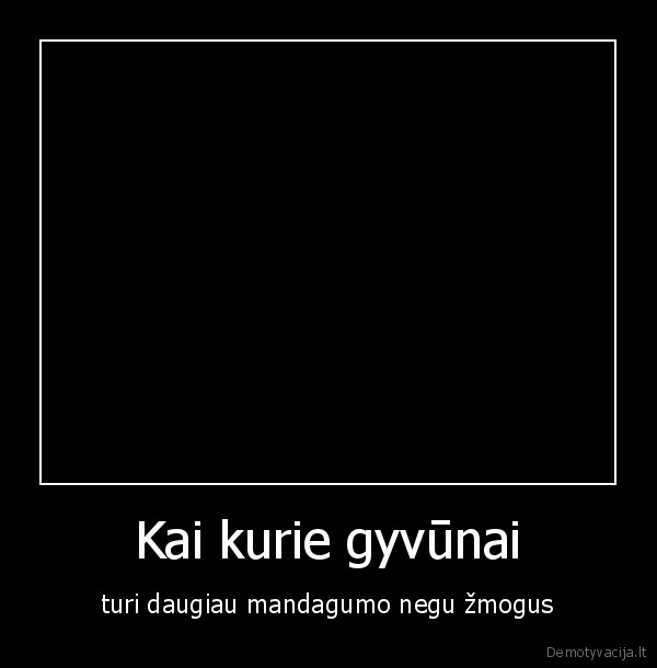 Kai kurie gyvūnai