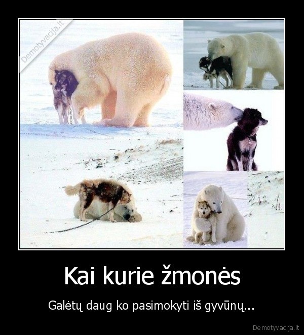 Kai kurie žmonės