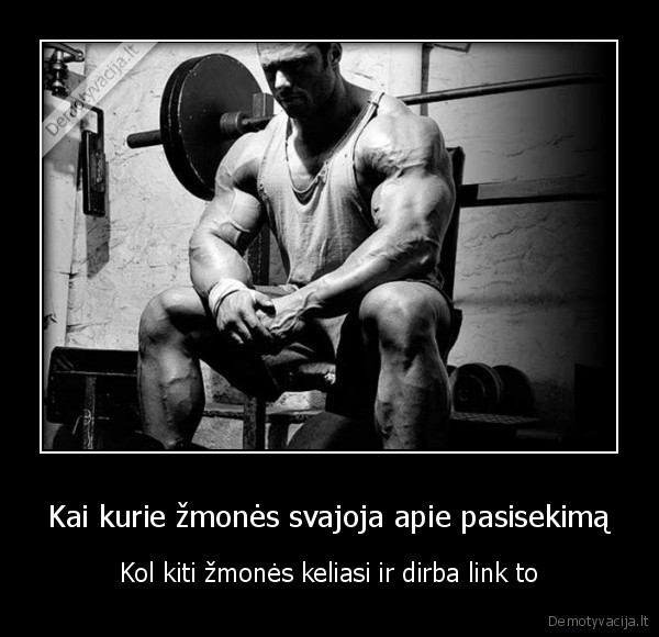 ryztas, tikslas, sekme, motyvacija