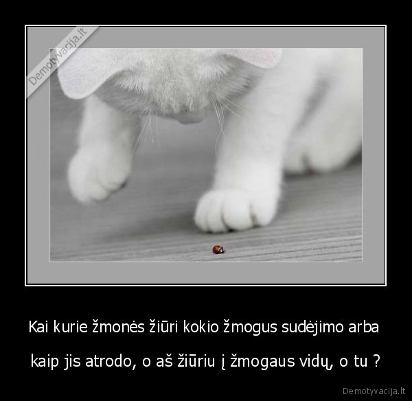 Kai kurie žmonės žiūri kokio žmogus sudėjimo arba 