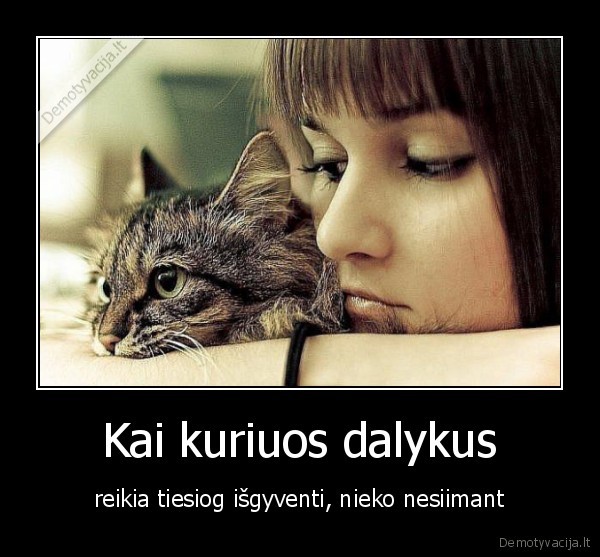 Kai kuriuos dalykus
