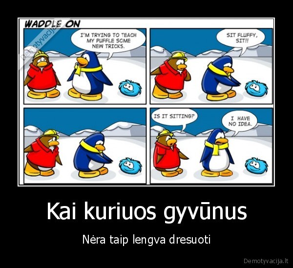 gyvuna,dresura