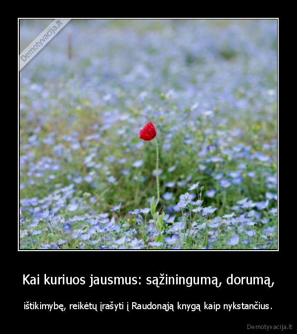 raudonoji, knyga,nykstantys, jausmai