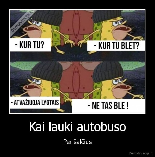 salta,nekantrus